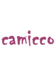 Camicco